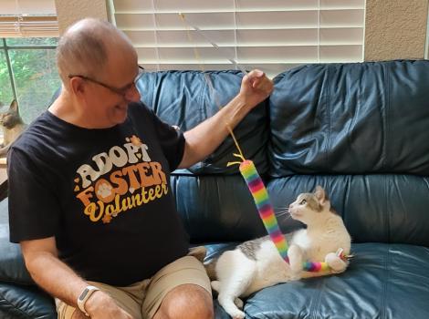 Mike Butchello playing with a wand toy with Buddy the cat